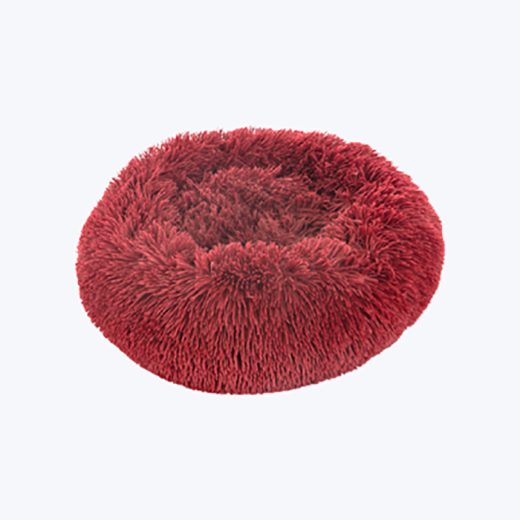 Red dog bed