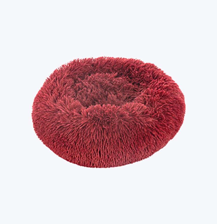 Red dog bed