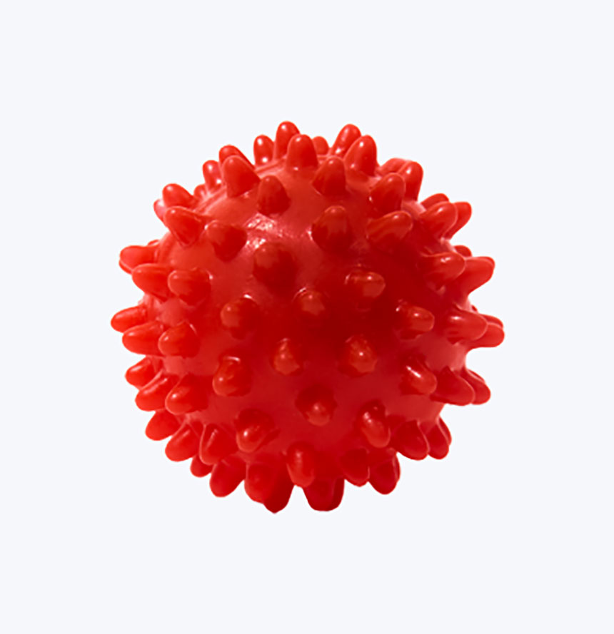 Dog toy